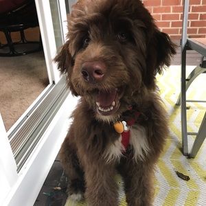 Meet your Posher, Mary kate